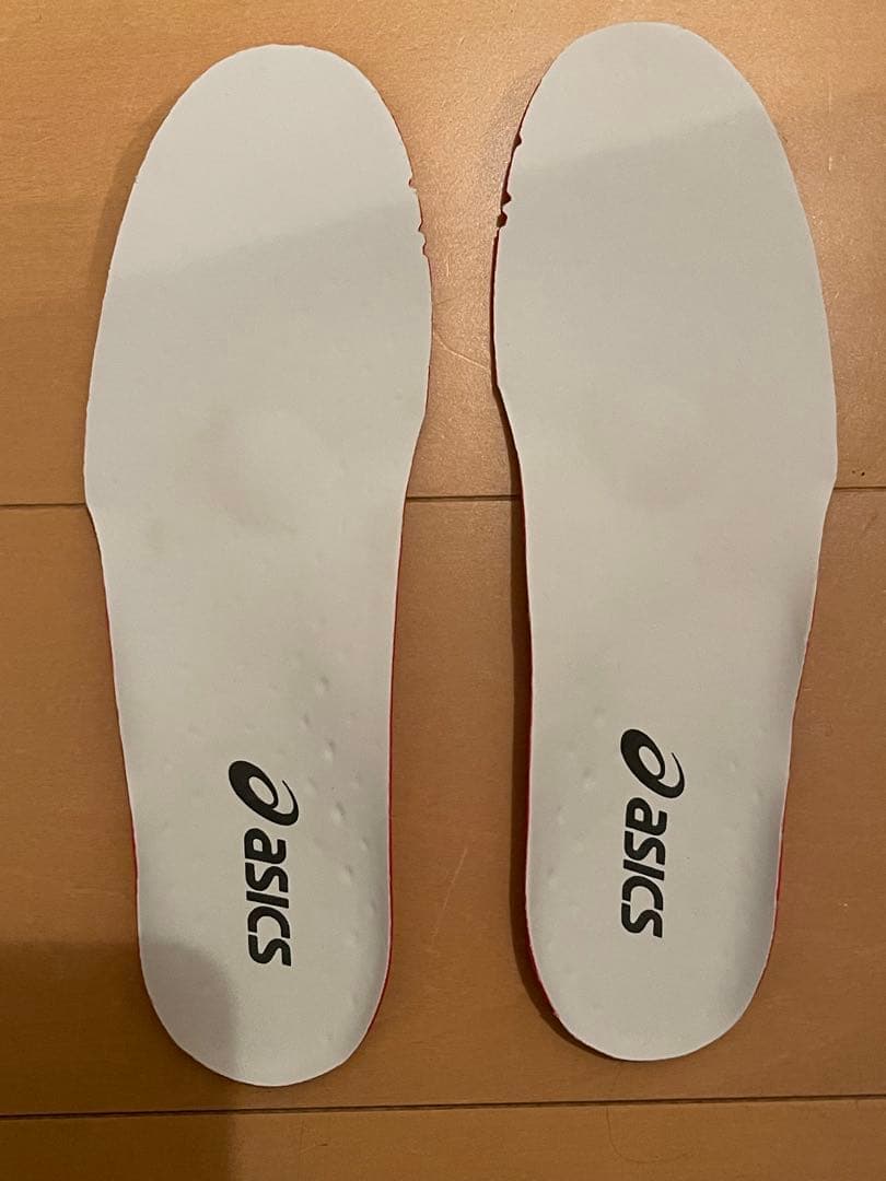 ⭐︎asics⭐︎ DS LIGHT X-FLY PRO 3⭐︎25.0㎝⭐︎美品⭐︎
