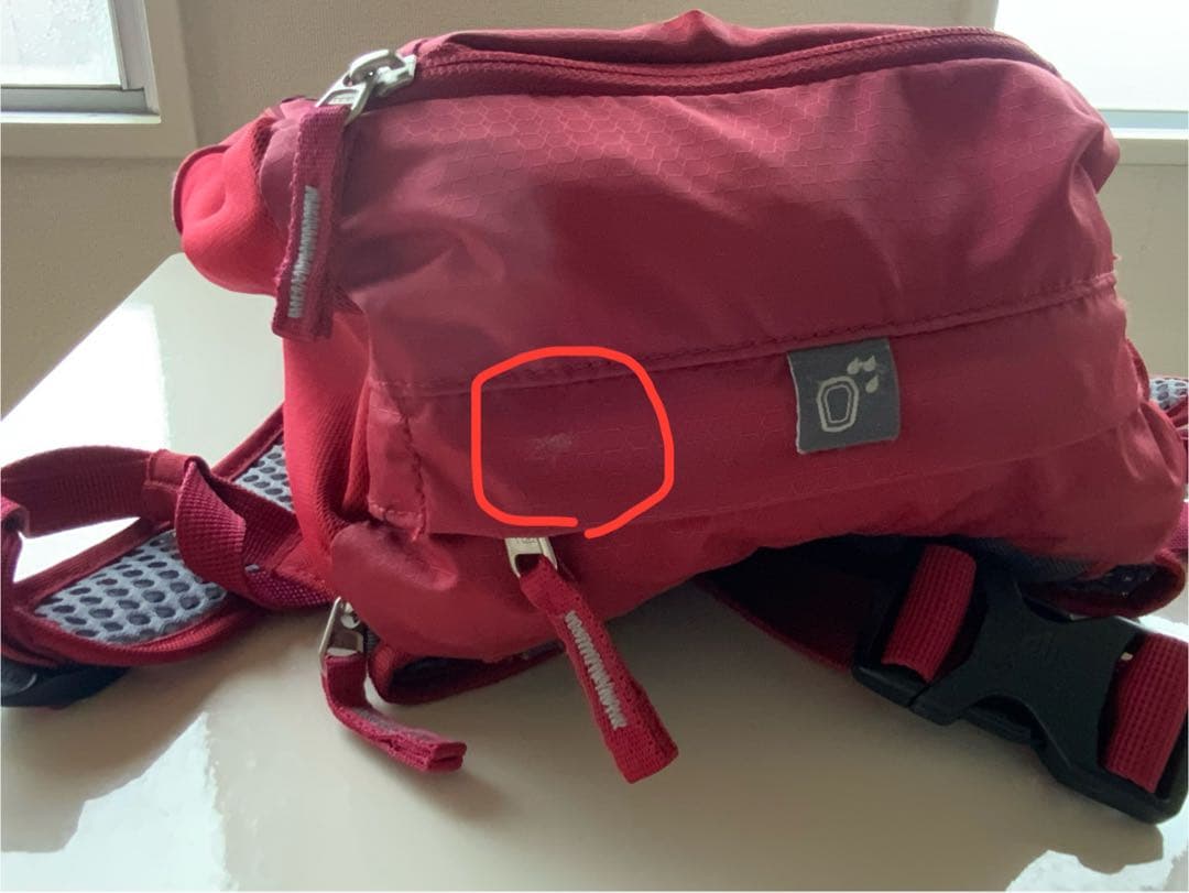 Deuter （ドイター）Race EXP AIR 14+3 バックパック
