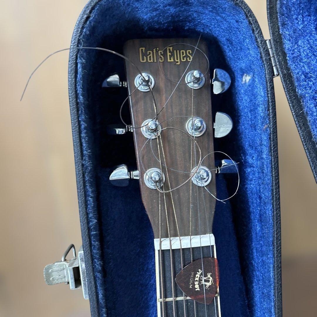 Cats Eyes キャッツアイ CE-250アコースティックギター 日本製