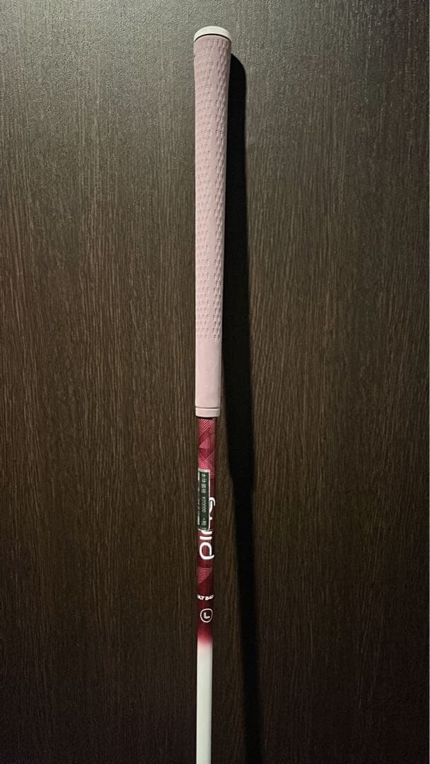 PING Gle2 9番アイアン + 練習用バッグ付き