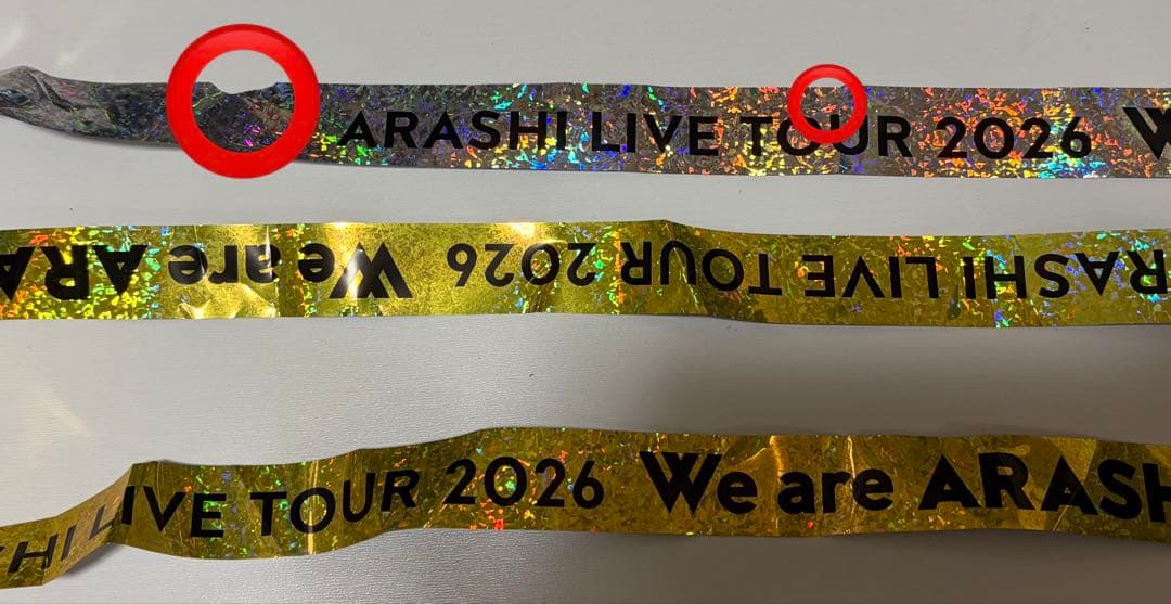 嵐 東京銀テフルWe are ARASHI LIVE TOUR 2026
