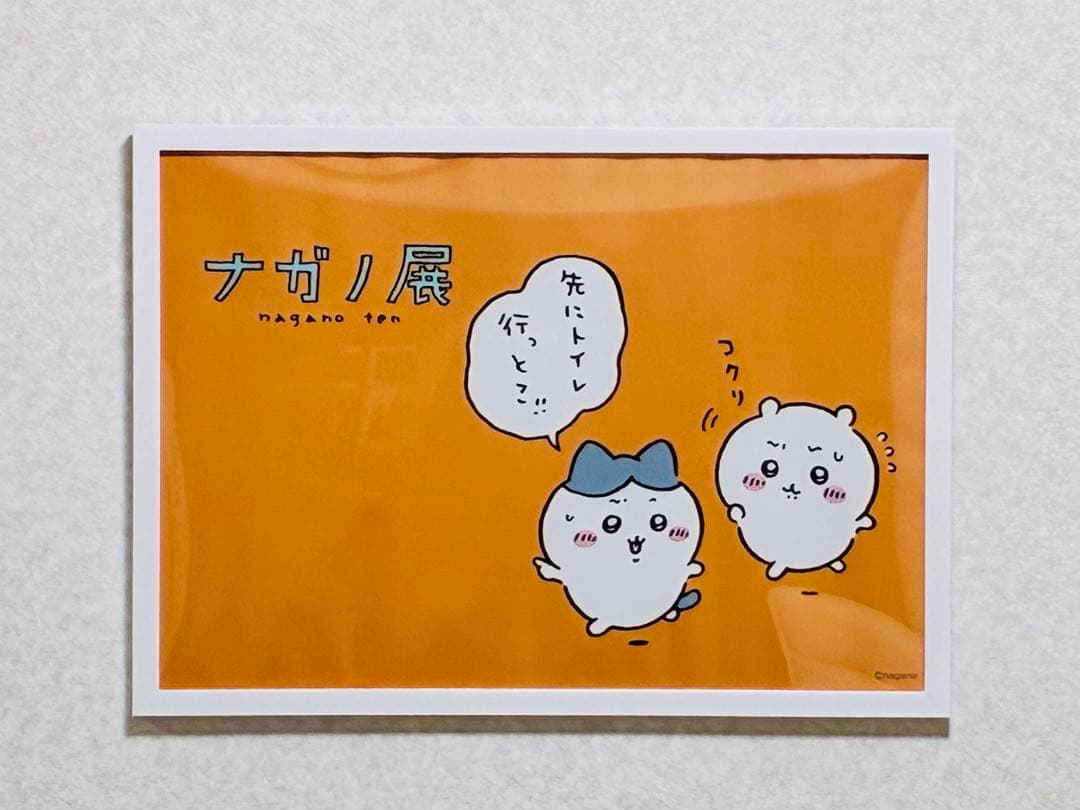 ナガノ展　ナガノフレンズA2ポスター5枚セットフレーム付き
