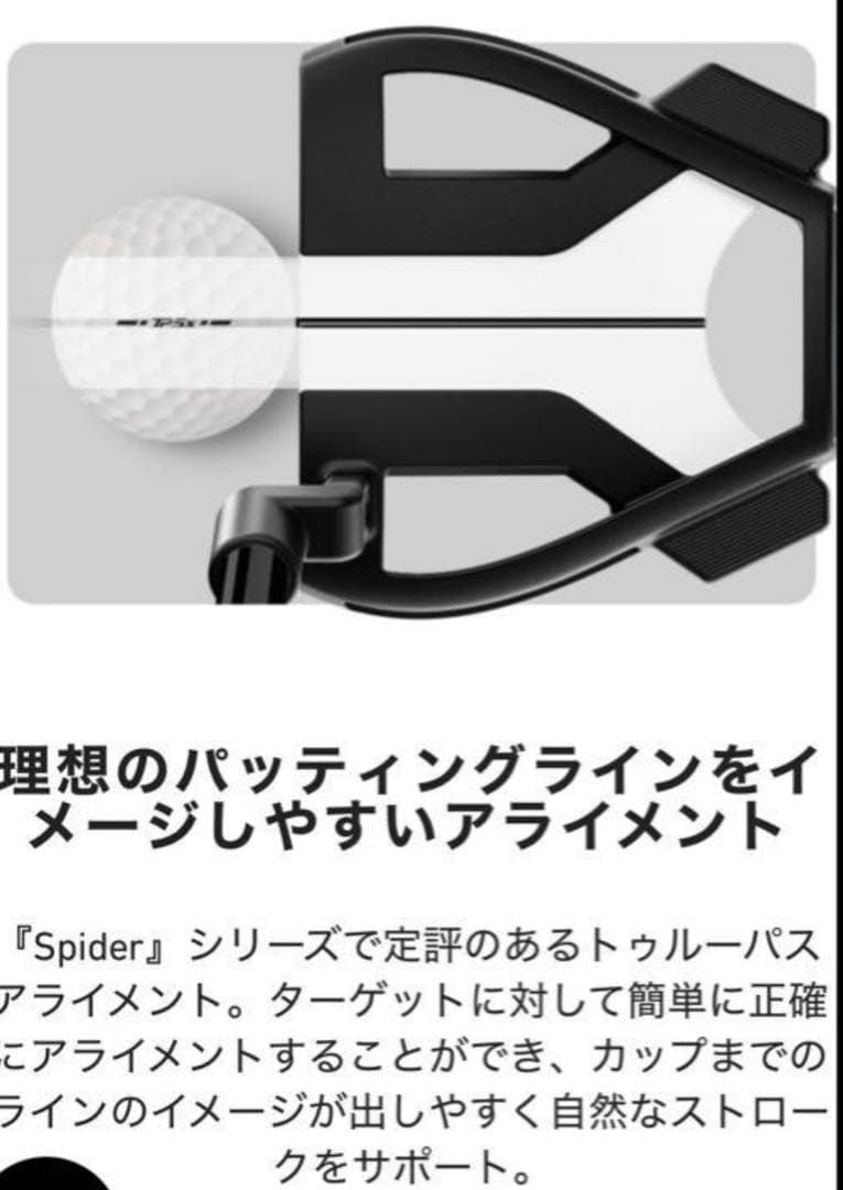 新品 テーラーメイド スパイダー ツアーX パター マキロイモデル 34インチ