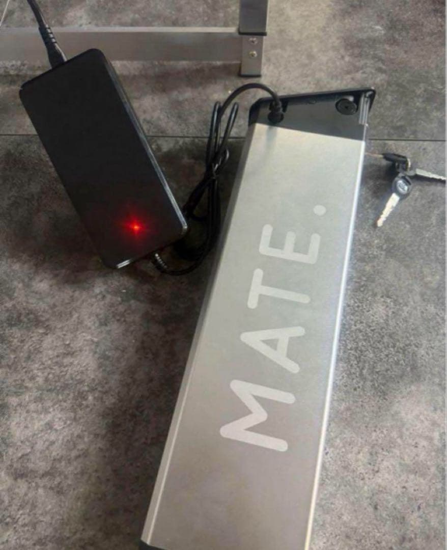 MATE X 250W/750W 充電器