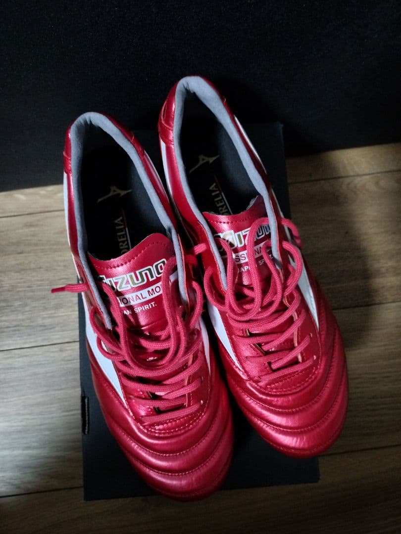Mizuno モレリア2 27センチ