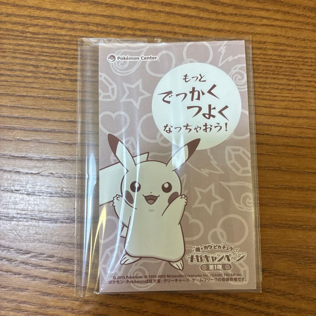 メガキャンペーン　メガリザードンYポンチョのピカチュウ　名刺カード