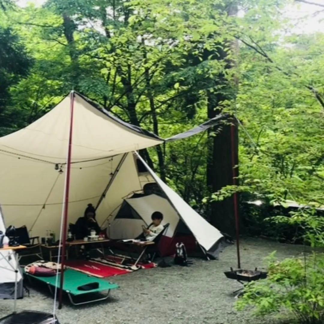 二股ポール付 ogawa オガワ ツインピルツフォークtc