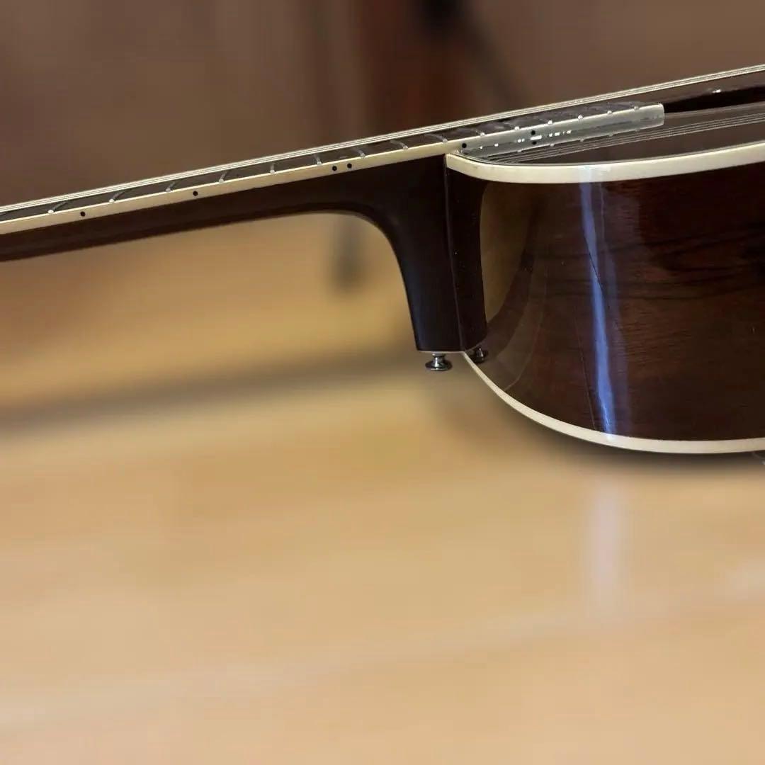 Ibanez エレアコ ソフトケース付 新品弦張替済
