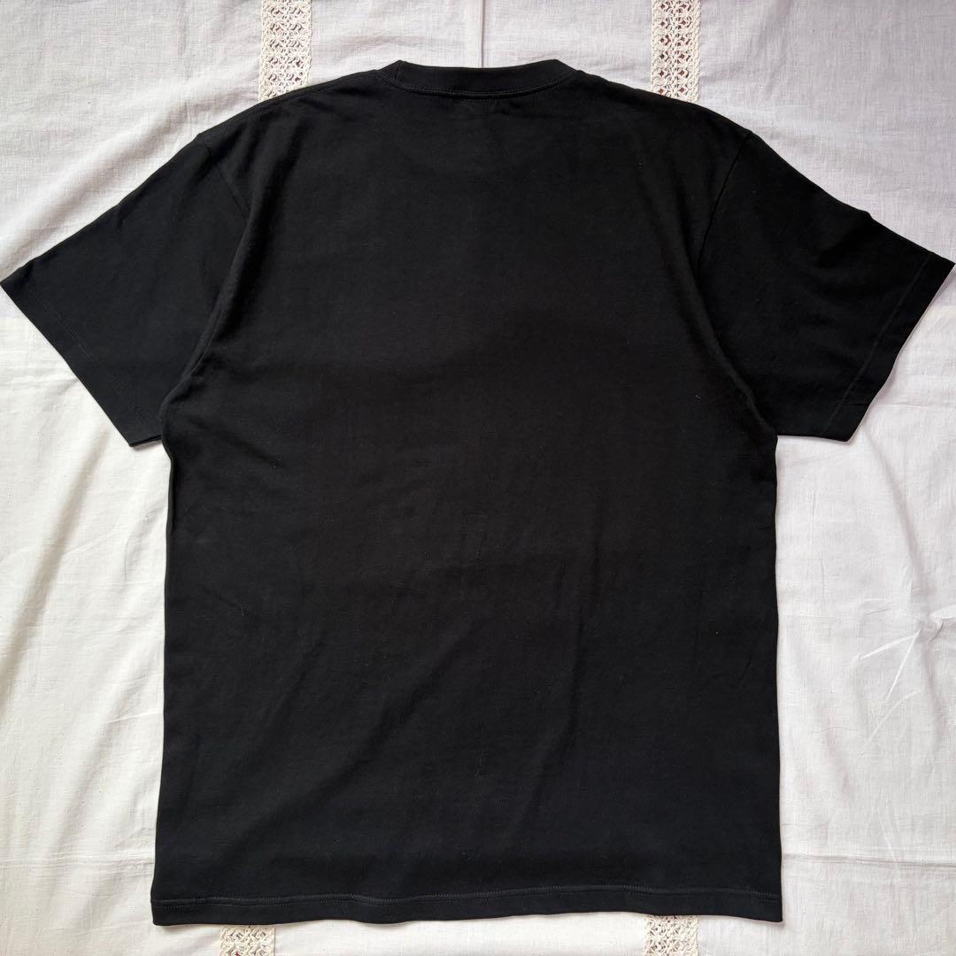 新同品◎レッチリ Ross Halfin ジャーナル バンT ブラック XL