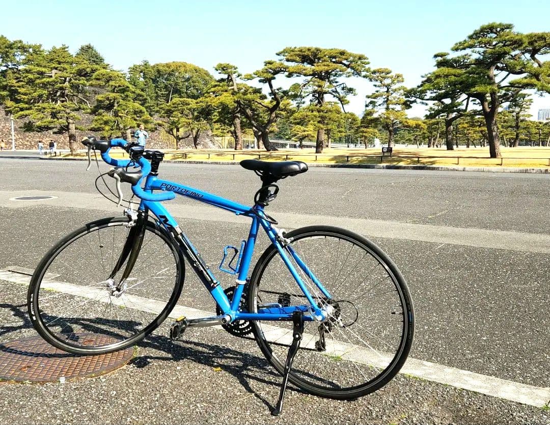 ロードバイク　MARIN　(キャットアイ付属)
