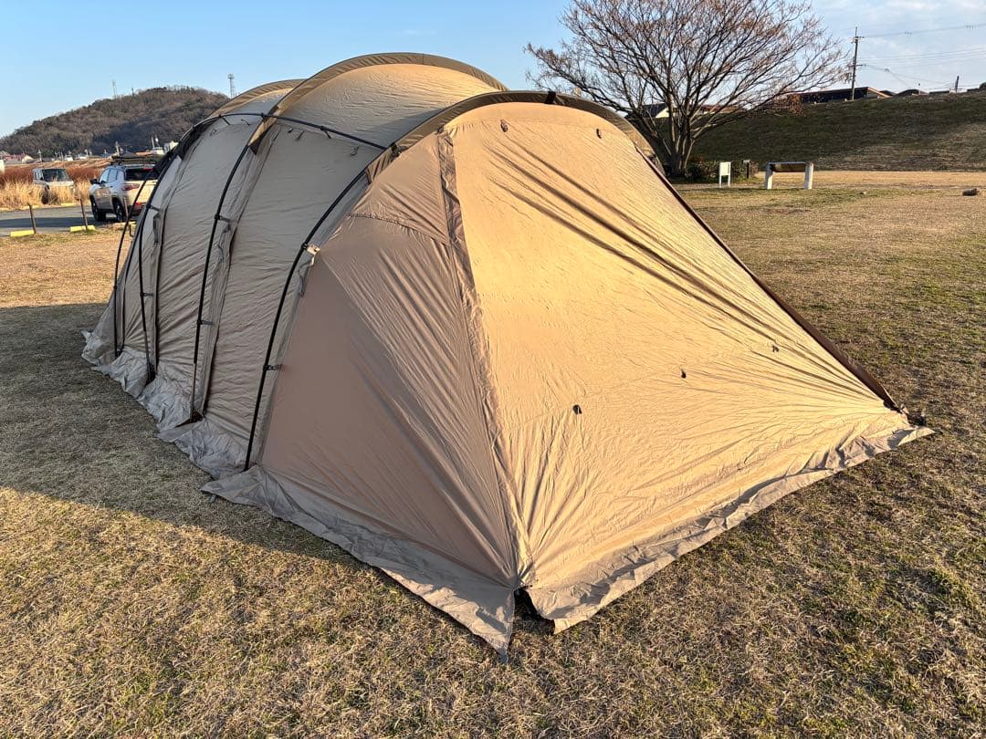 サバティカル アルニカ　SABBATICAL