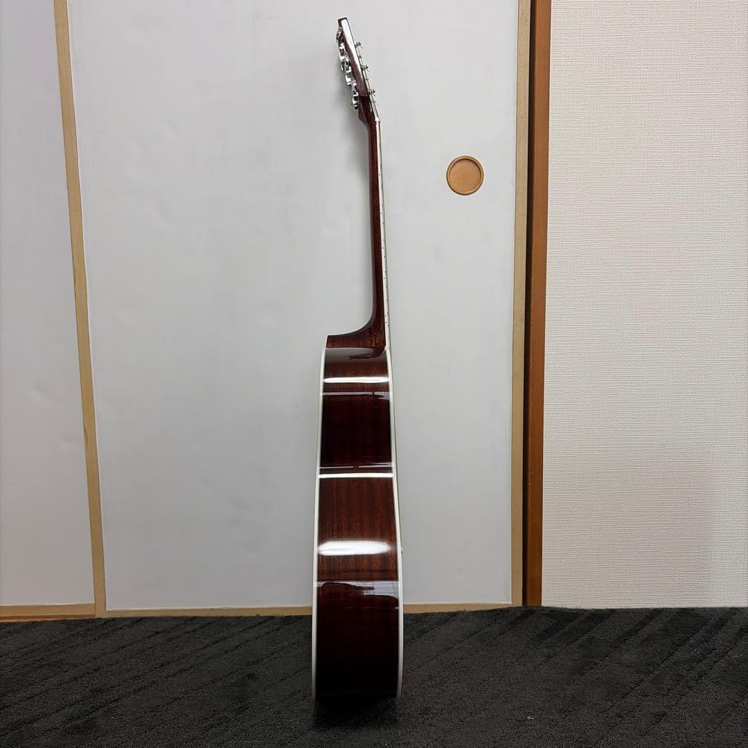 Saga A1 G アコースティクギター