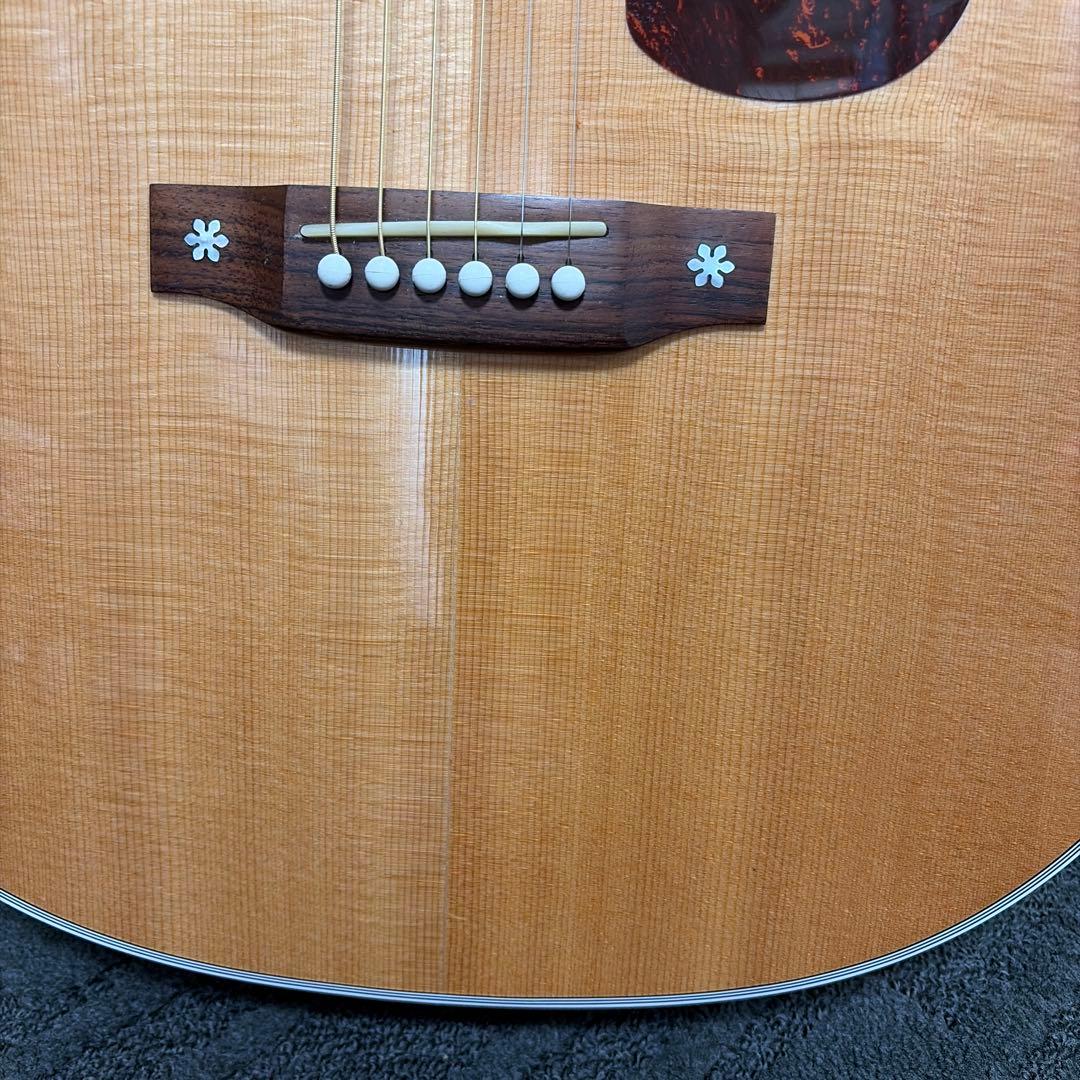 Saga A1 G アコースティクギター