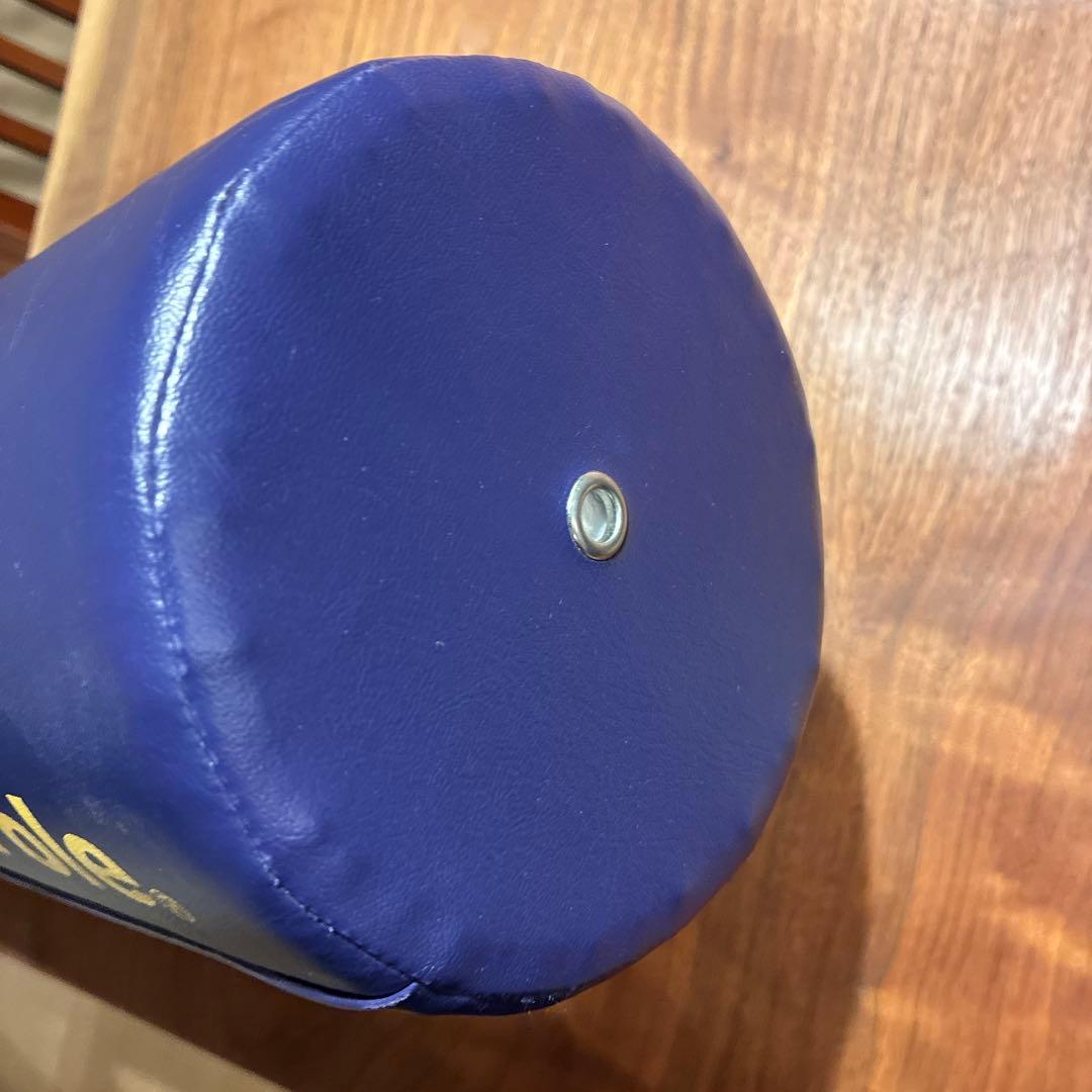 LPN StretchPole EX ストレッチポール 正規品