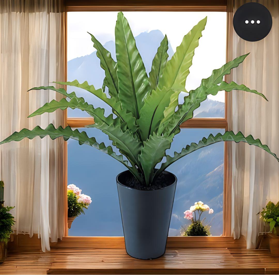 光触媒　人工観葉植物　ウォールグリーン　フェイクグリーン　アスプレニウムS