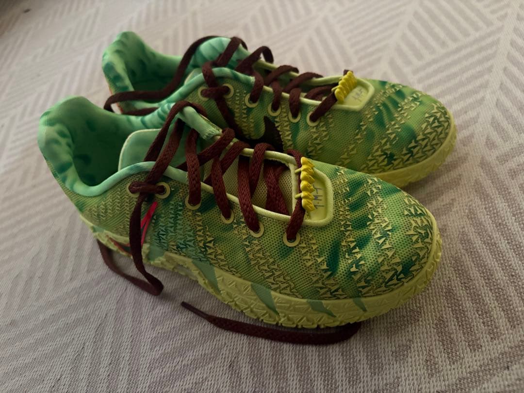 Nike Tierra グリーン バスケットシューズ
