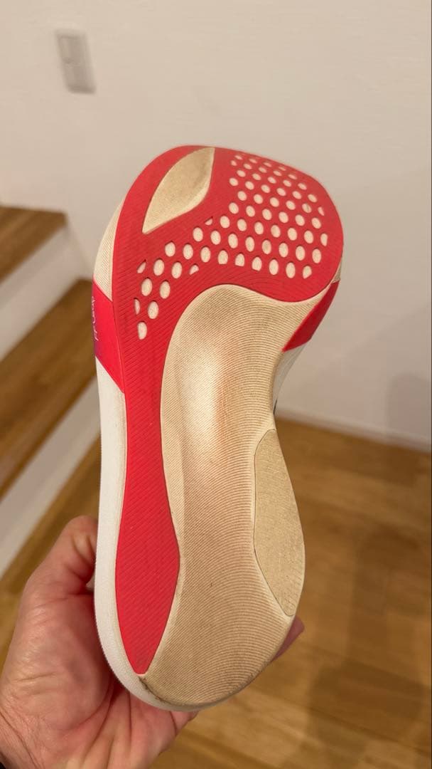 アシックス メタスピードスカイトウキョウ 25.5cm