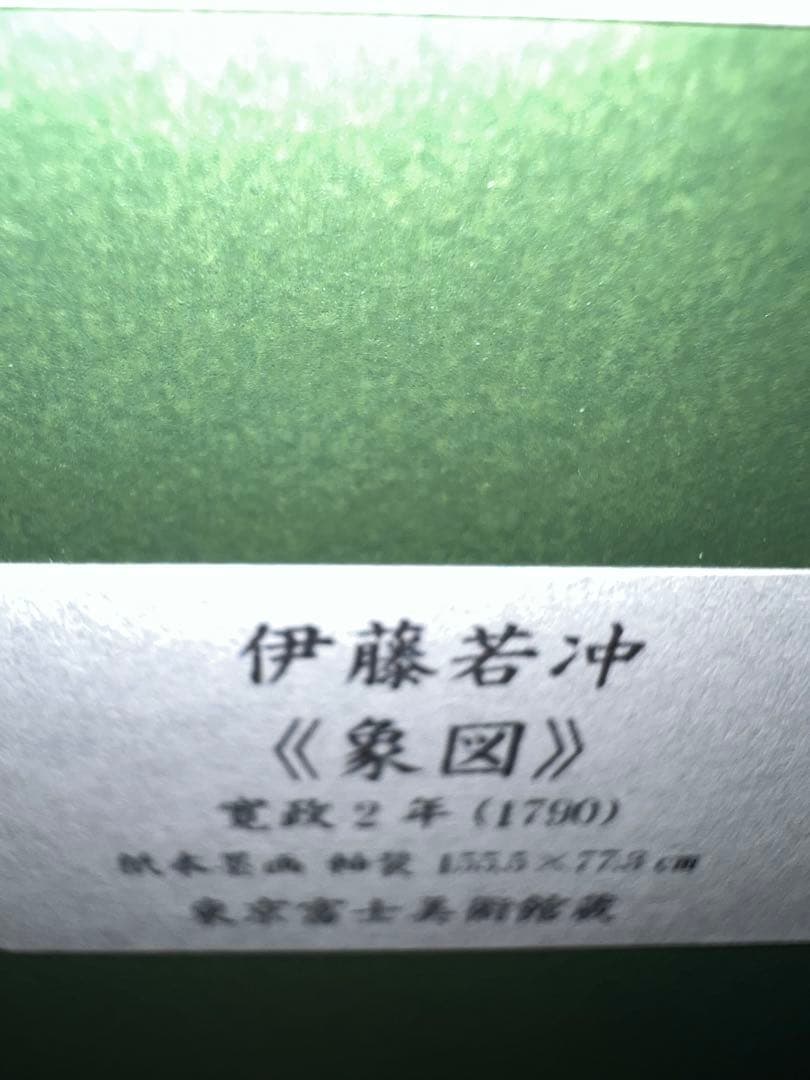 伊藤若冲　象図　(70㎝×43㎝)