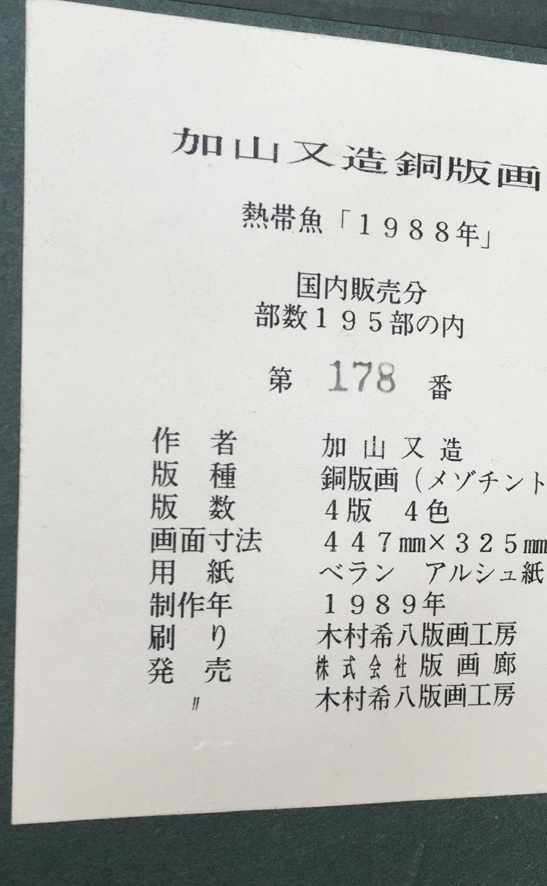 熱帯魚「1988年」　加山又造
