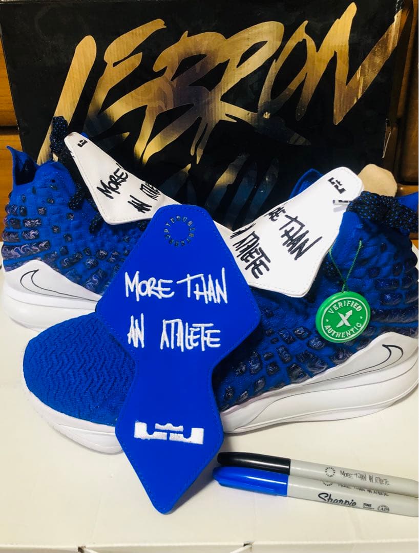 NIKE LEBRONレブロン 17 新品未使用30.5cm