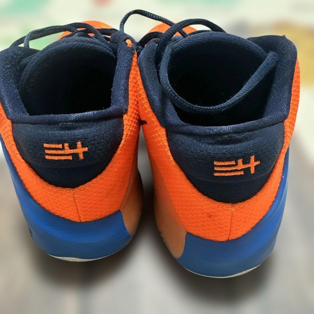 ナイキ　zoom freak 1 29cm バスケ