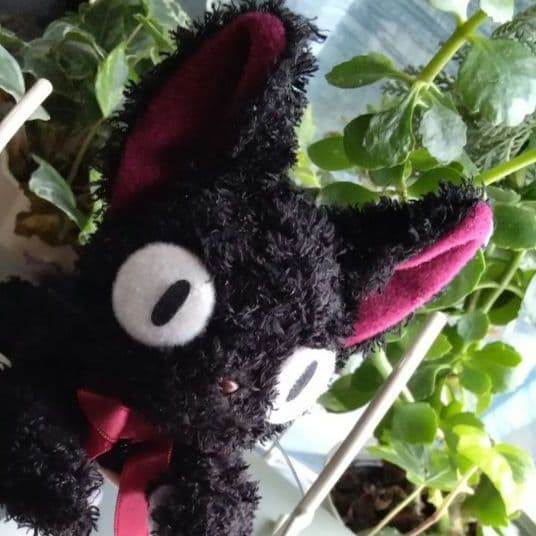 魔女の宅急便　ジジ　ぬいぐるみ　サンアロー