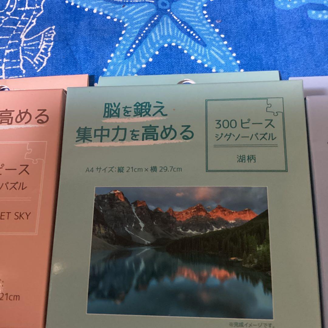 3739集中力を高めるジグソーパズルセリア