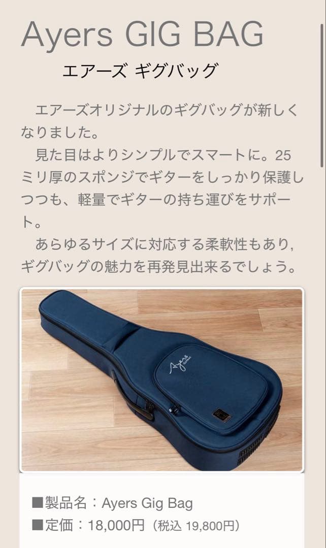 【極美品】Ayers ギグバッグ