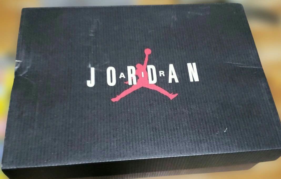 シューズ(女性用) AIR JORDAN 11 RETRO 25cm