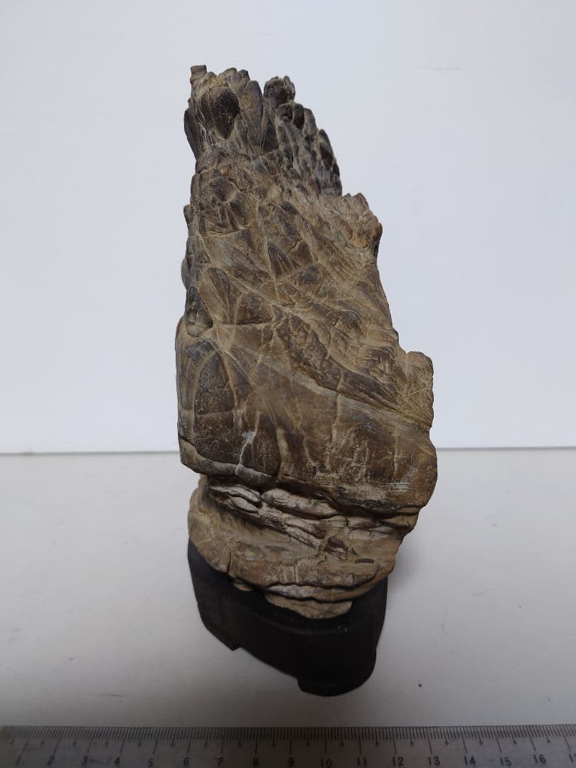 抹香石　峻峰　水石 鑑賞石