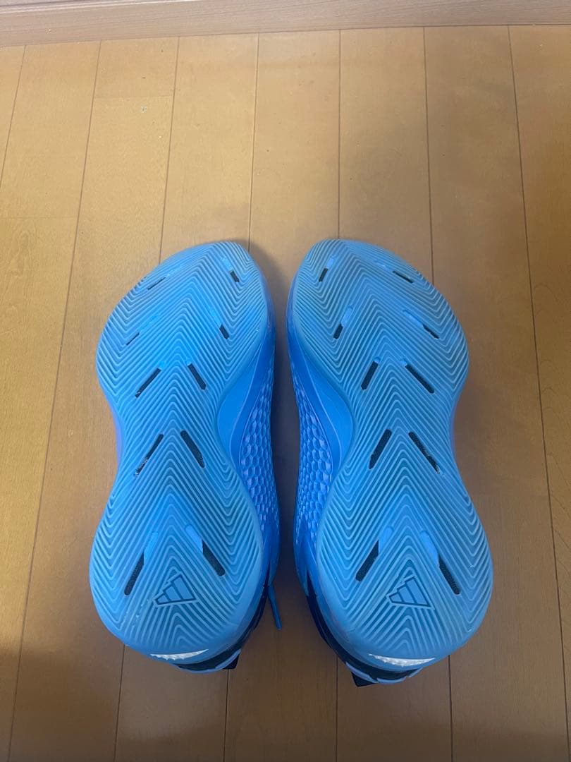 シューズ(男性用) Ae1 low nicks gift