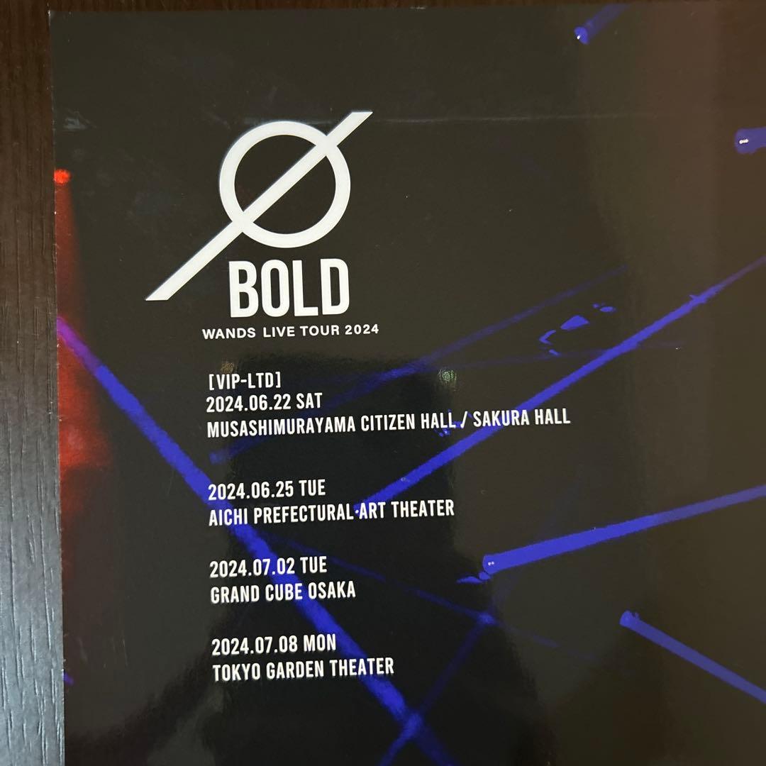ミュージシャン WANDS LIVE TOUR 2024BOLD LIVE PHOTO BOOK