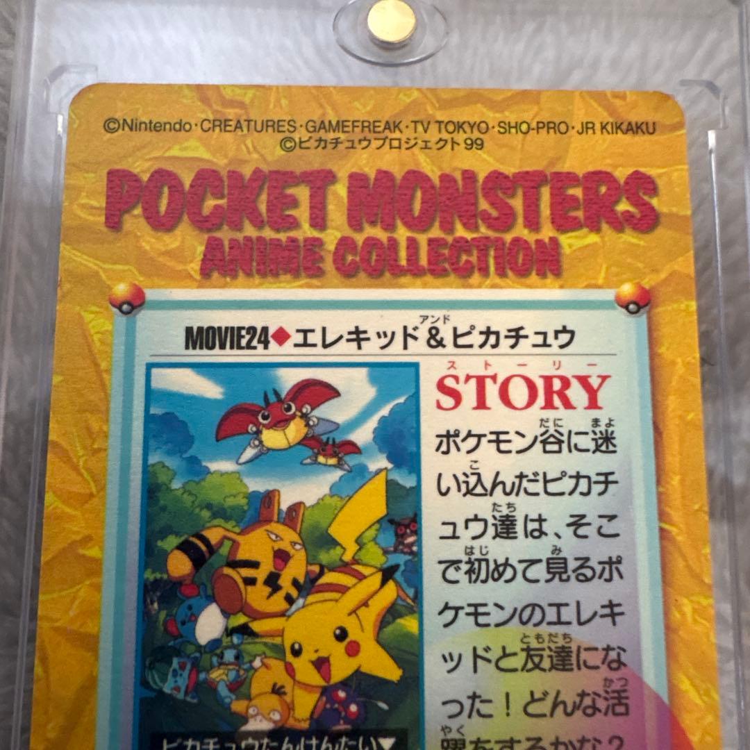 ポケモンカードダス　〔ピカチュウたんけんたい〕