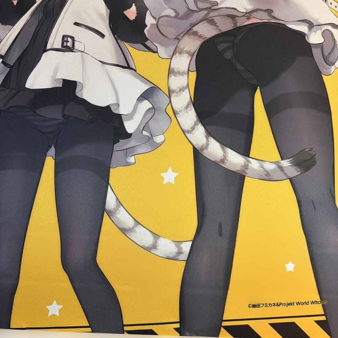 売却　ワールドウィッチーズ C99 寅年セット エイラ&サーニャ　たたわあ
