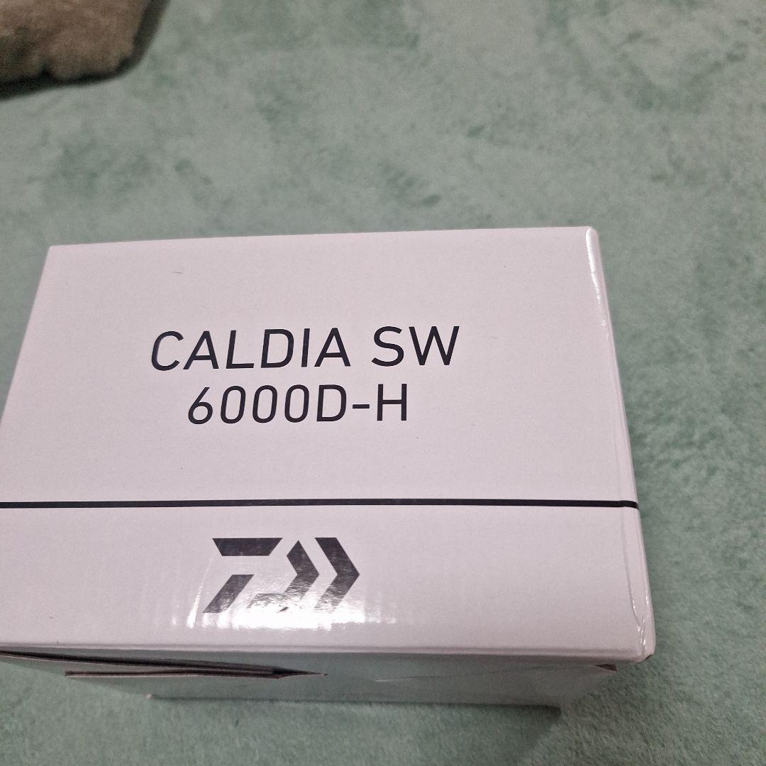 リール CALDIA SW 6000D-H