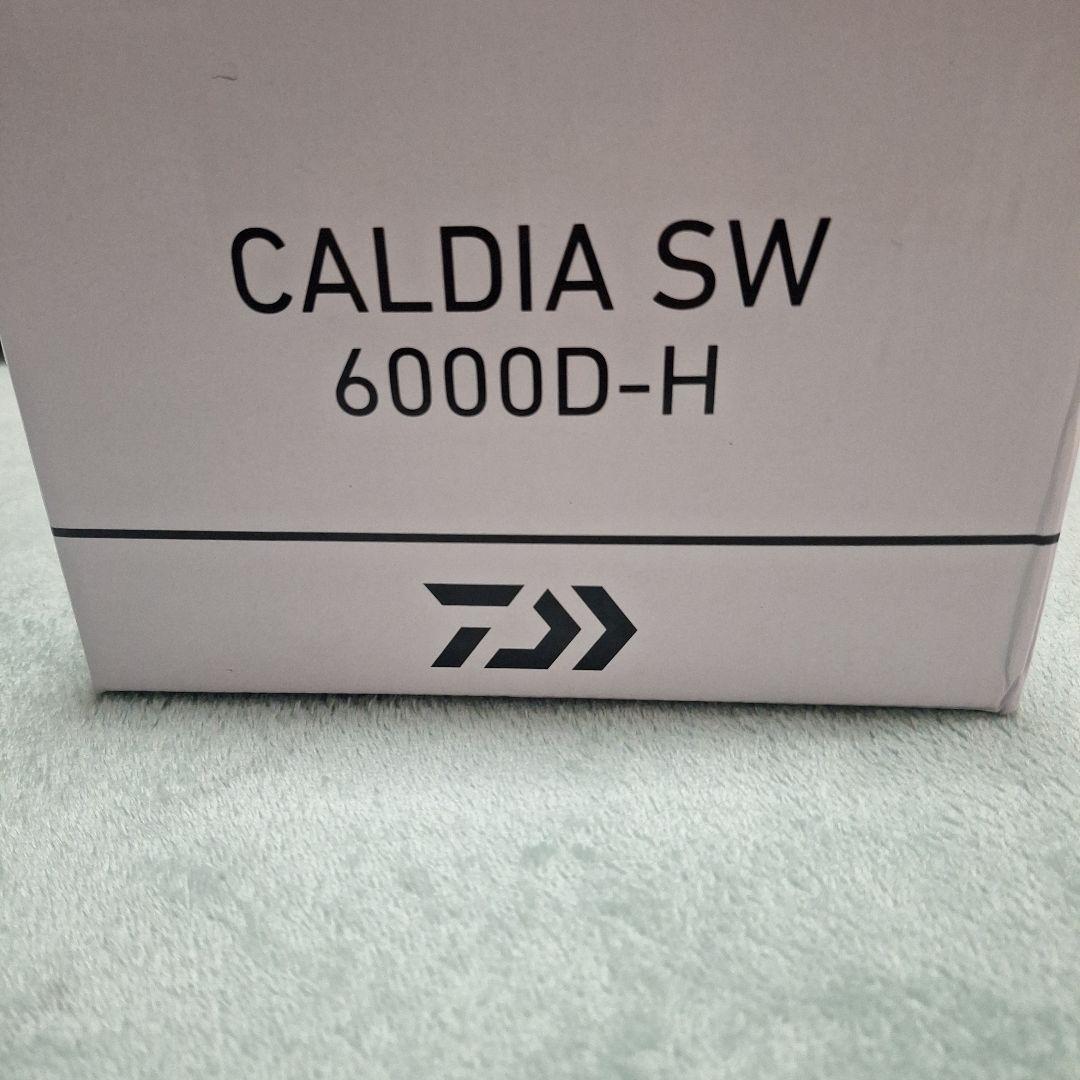 リール CALDIA SW 6000D-H
