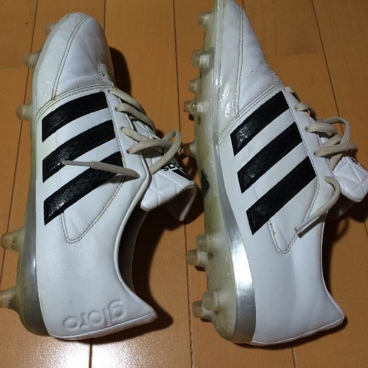 グローロFg