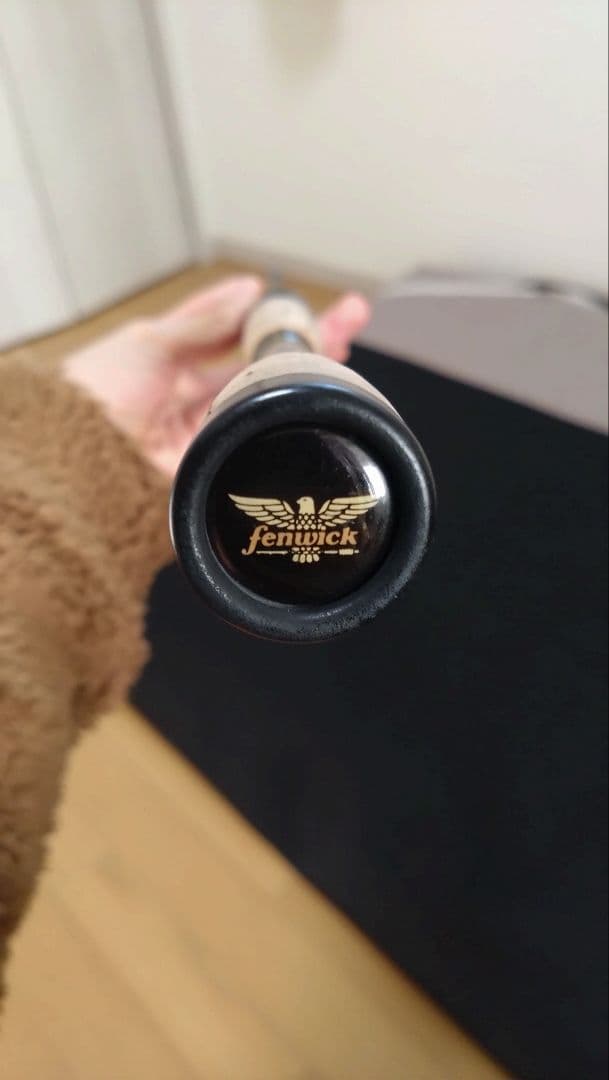 Fenwick フェンウィック テクナGP TAV-GP74CHJ　琵琶湖