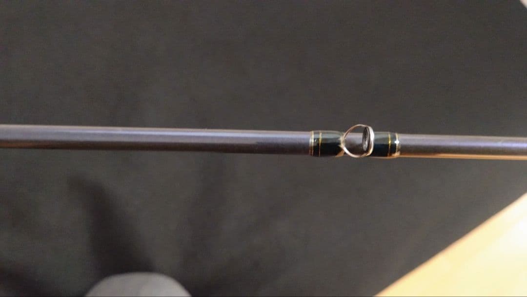 Fenwick フェンウィック テクナGP TAV-GP74CHJ　琵琶湖
