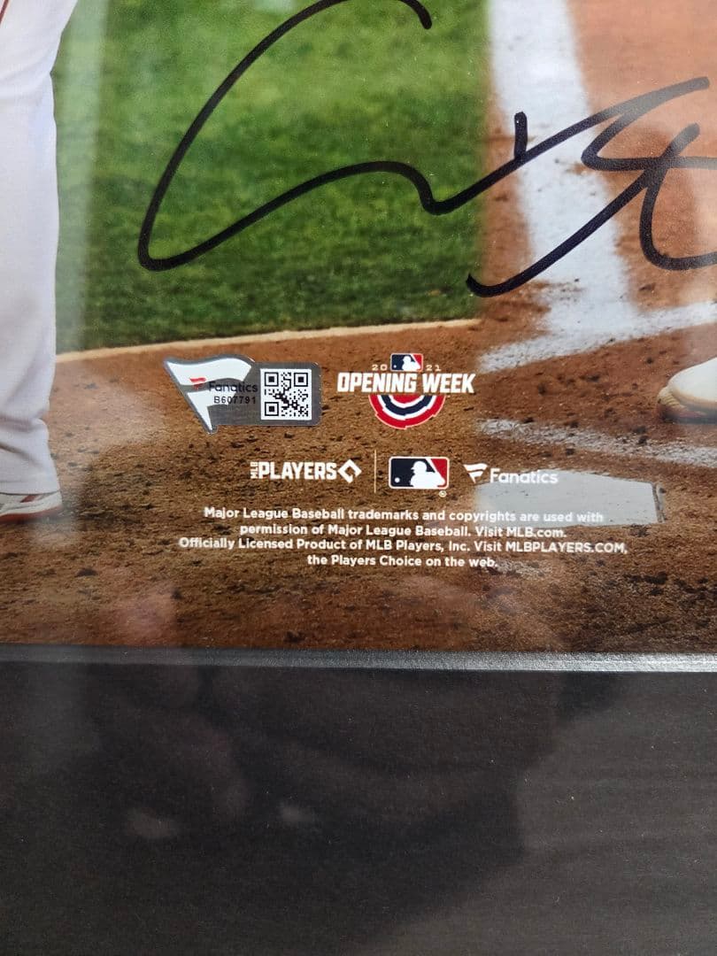 大谷翔平選手 二刀流直筆サイン入りフォト