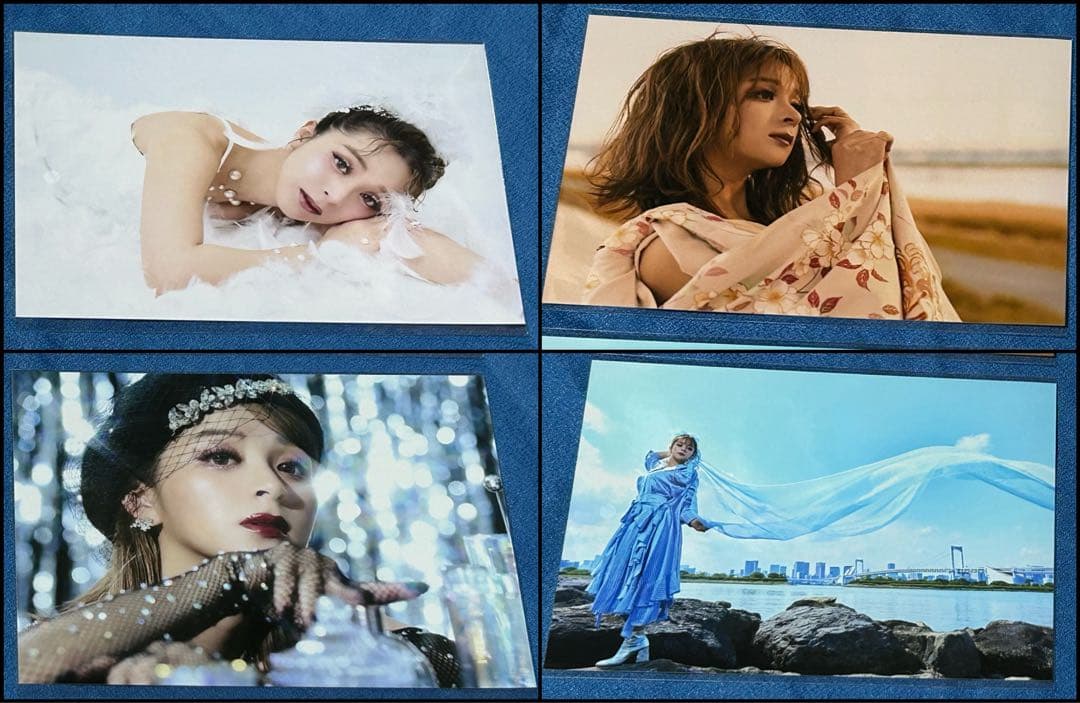 GARNiDELiA 美依礼芽 メイリア 大判 ブロマイド ミニカード トレカ