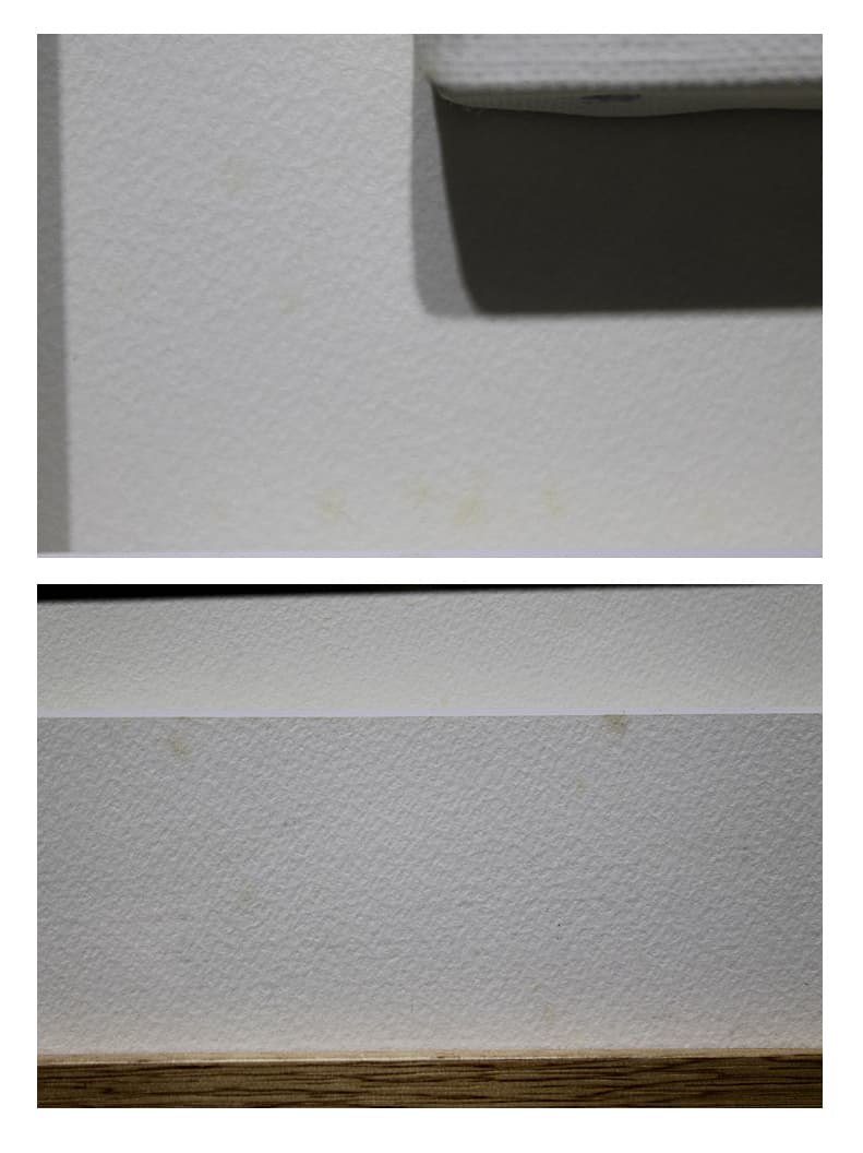 笠井正博【ブナの実】 2004年 原画 アクリル ミニアチュール