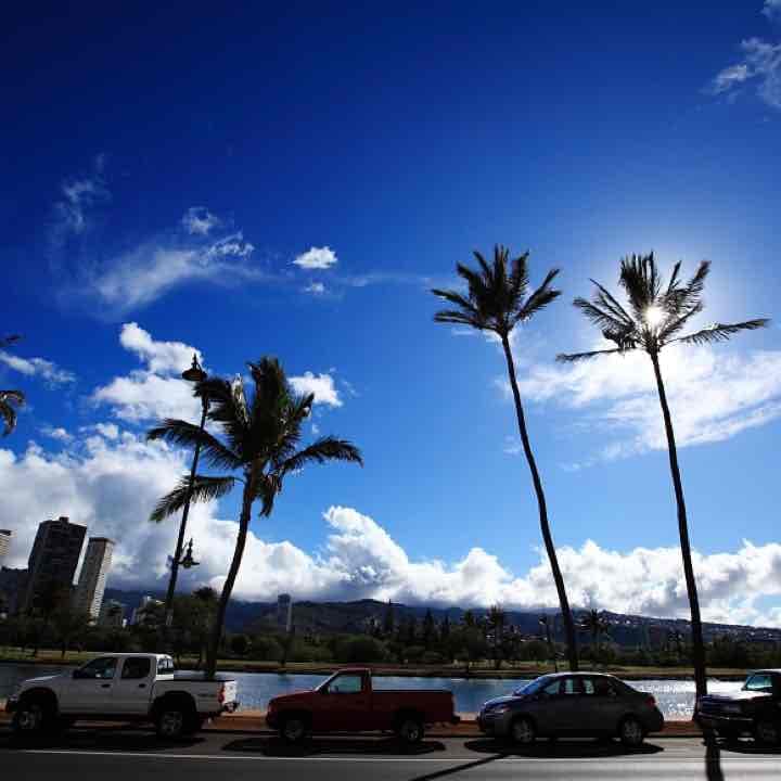 オーダー用写真です。