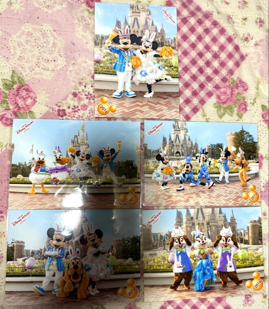 <匿名配送> ディズニーランド スペシャルフォト イースター 2016