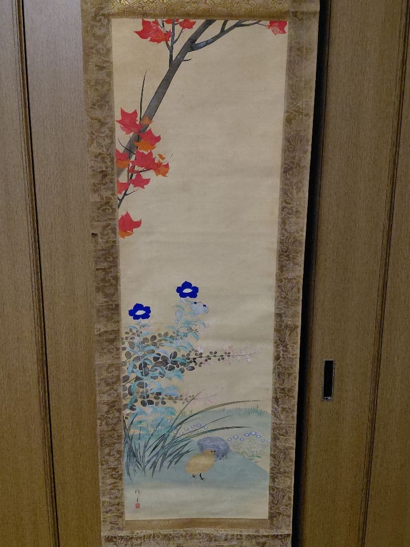 酒井抱一　紅葉とききよう　水彩掛軸　桐箱