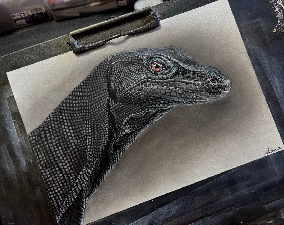 サルバトールモニター（メラニスティック）　色鉛筆画