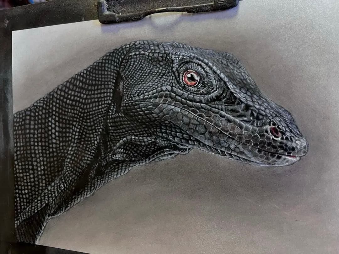 サルバトールモニター（メラニスティック）　色鉛筆画
