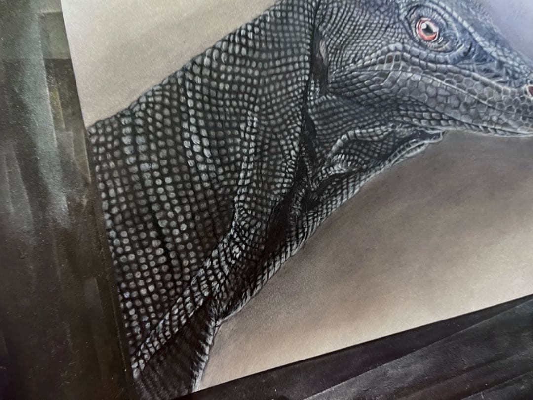 サルバトールモニター（メラニスティック）　色鉛筆画