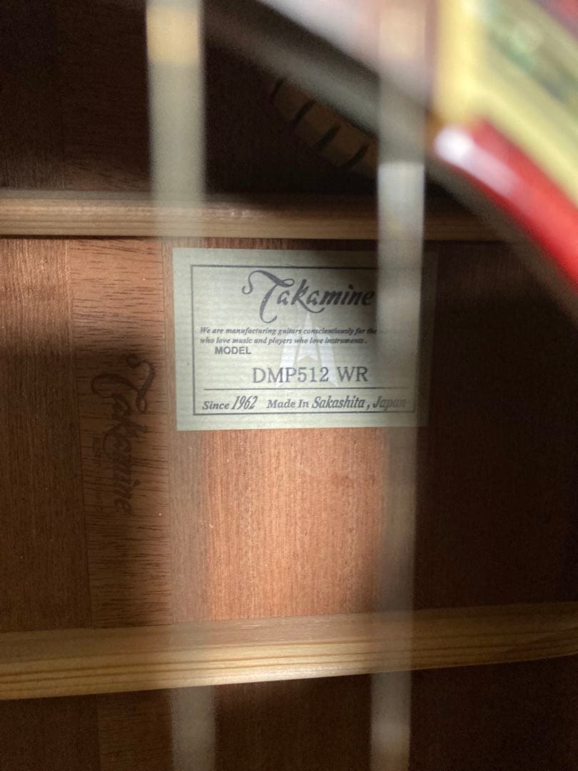 Takamine エレアコ DMP512WR