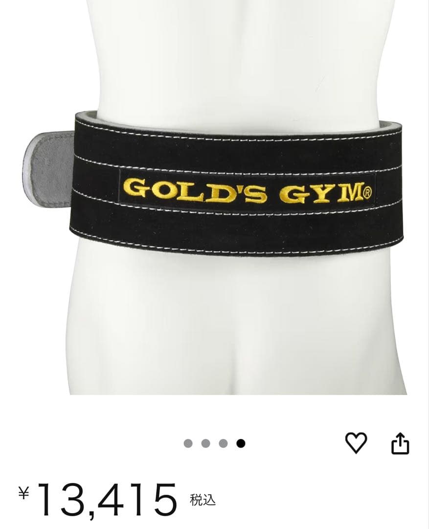 ゴールドジム(GOLD`S GYM) パワーベルト ダブルピン G3352 M
